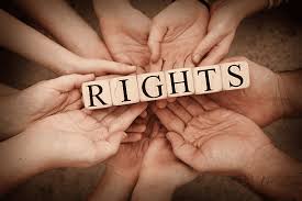 Advocating for Justice The Essential Role of Human Rights Attorneys