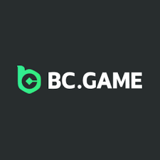 Comprehensive Guide to BC.Game Payment Methods 1025010441