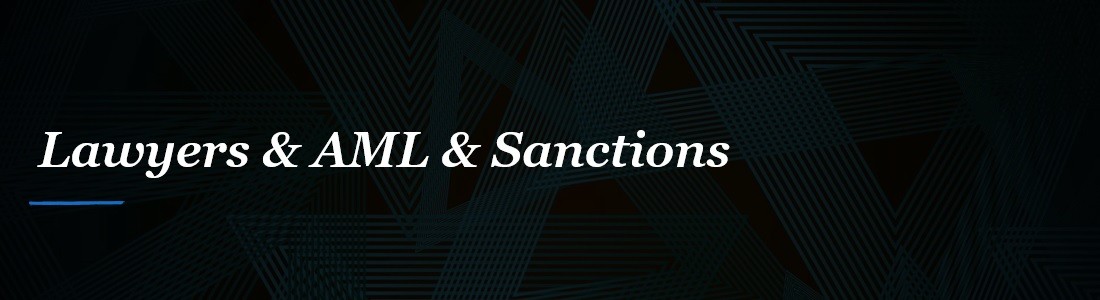 Expert Assistance from Sanctions Lawyers