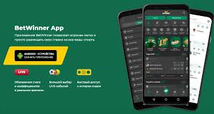 Explore the BetWinner Betting Platform Your Ultimate Guide