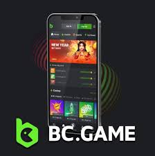 Exploring Payment Methods in Hash Games