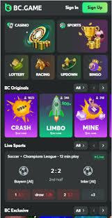 Exploring the HashGame Mirror of BC Game A New Frontier of Gaming
