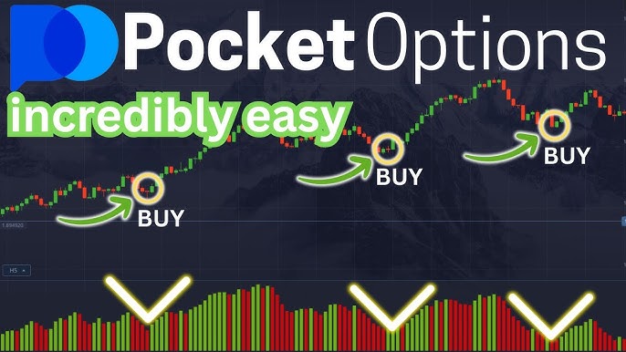 Alle wichtigen Informationen über die Fees Pocket Option