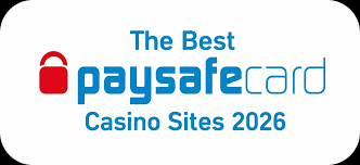 Sådan Bruger Du Paysafe Casino En Ultimatvejledning