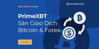 Unlocking the Benefits Your Guide to the PrimeXBT Bonus